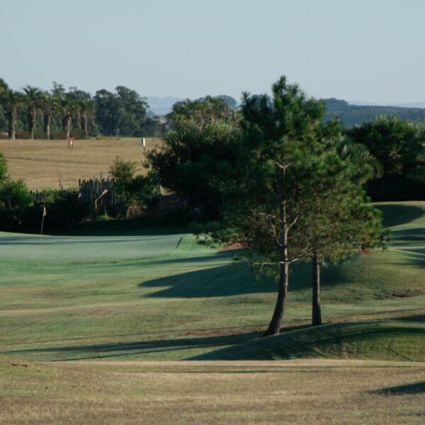 Llega el 2º Abierto Internacional de Golf a La Barra con el apoyo de la IDM.