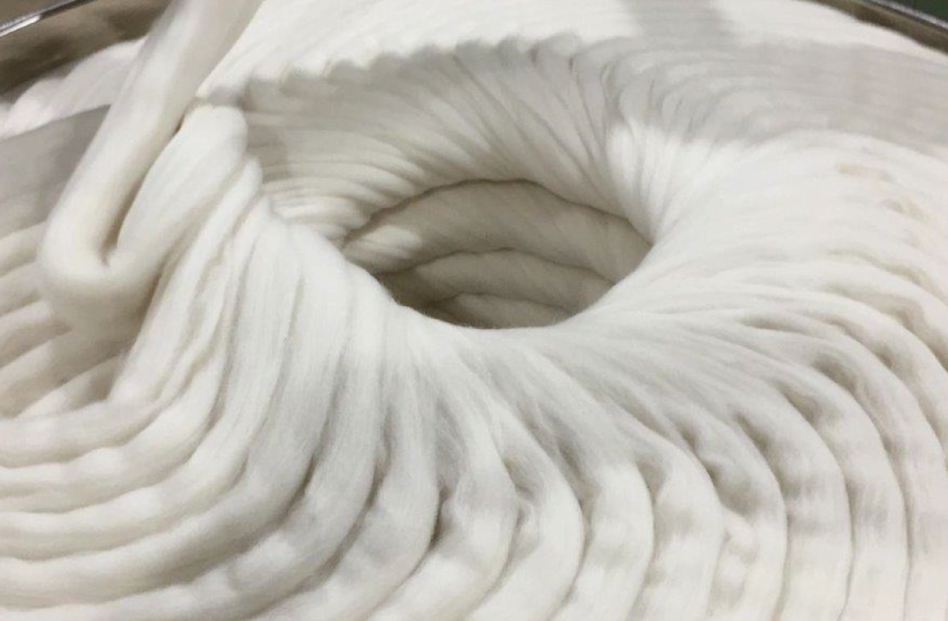 La lana uruguaya conquista al mundo por su calidad.