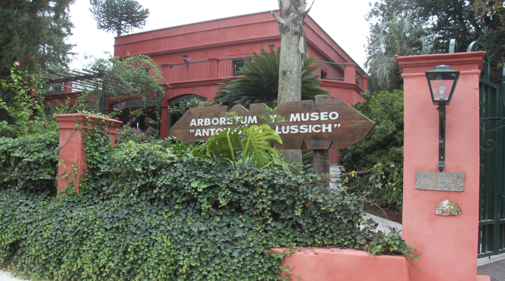 El bosque encantado de Punta Ballena: el Arboretum Lussich y el legado del paraíso botánico que transformó a Maldonado.