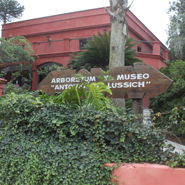 El bosque encantado de Punta Ballena: el Arboretum Lussich y el legado del paraíso botánico que transformó a Maldonado.