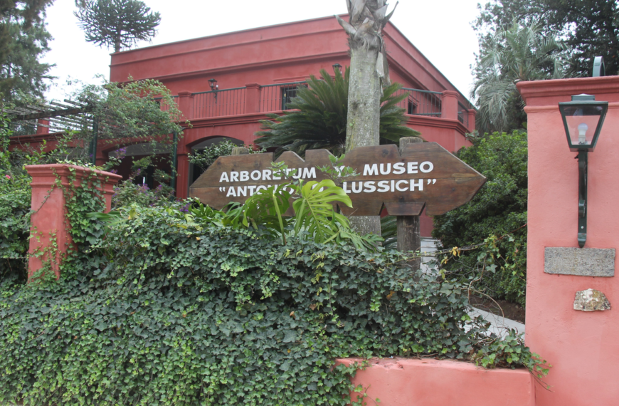El bosque encantado de Punta Ballena: el Arboretum Lussich y el legado del paraíso botánico que transformó a Maldonado.