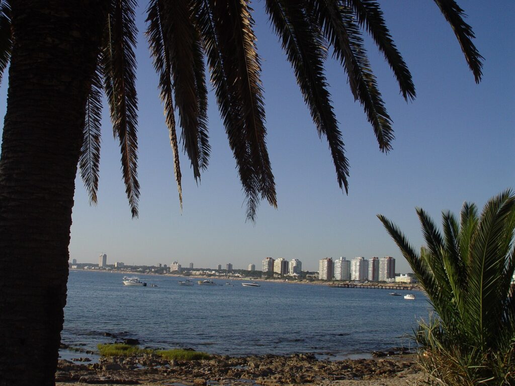 Bahía de Maldonado vista desde Playa Mansa entre palmeras