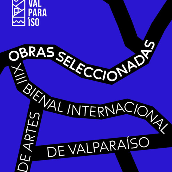 Pieza gráfica oficial de las obras seleccionadas de la XIII Bienal Internacional de Artes de Valparaíso