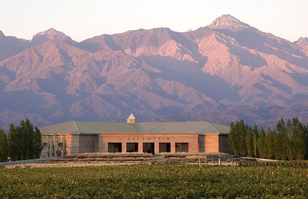 Bodega en el Valle de Uco, Mendoza, una de las regiones de altura que conocieron los educadores de WSET