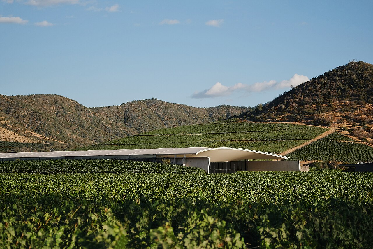 Bodega Vik rodeada de viñedos y cerros en el valle de Millahue
