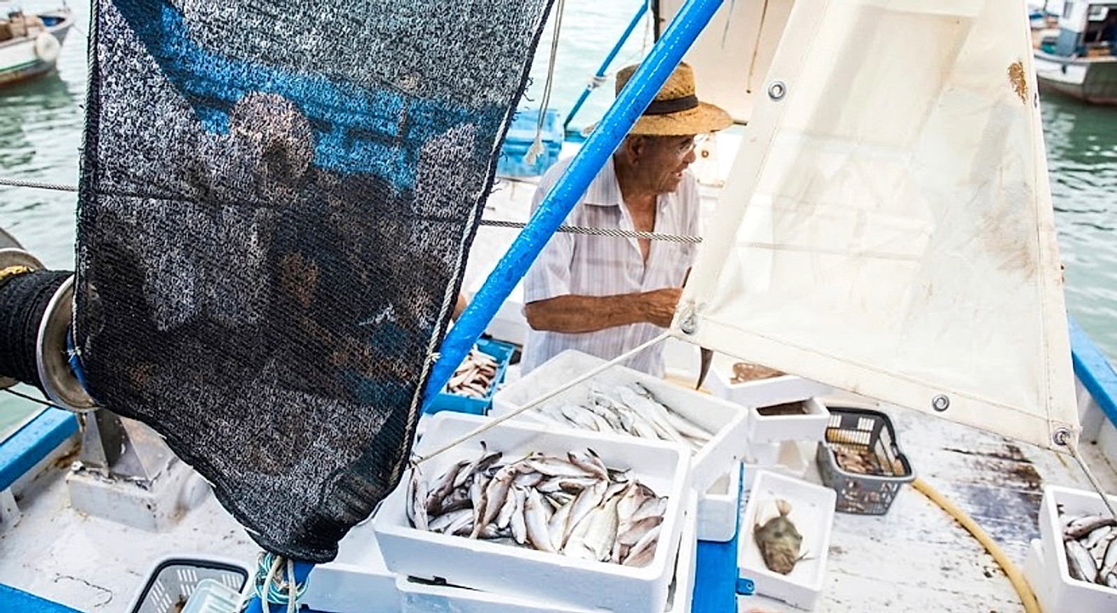 Pescado fresco en una barca del puerto de Cambrils