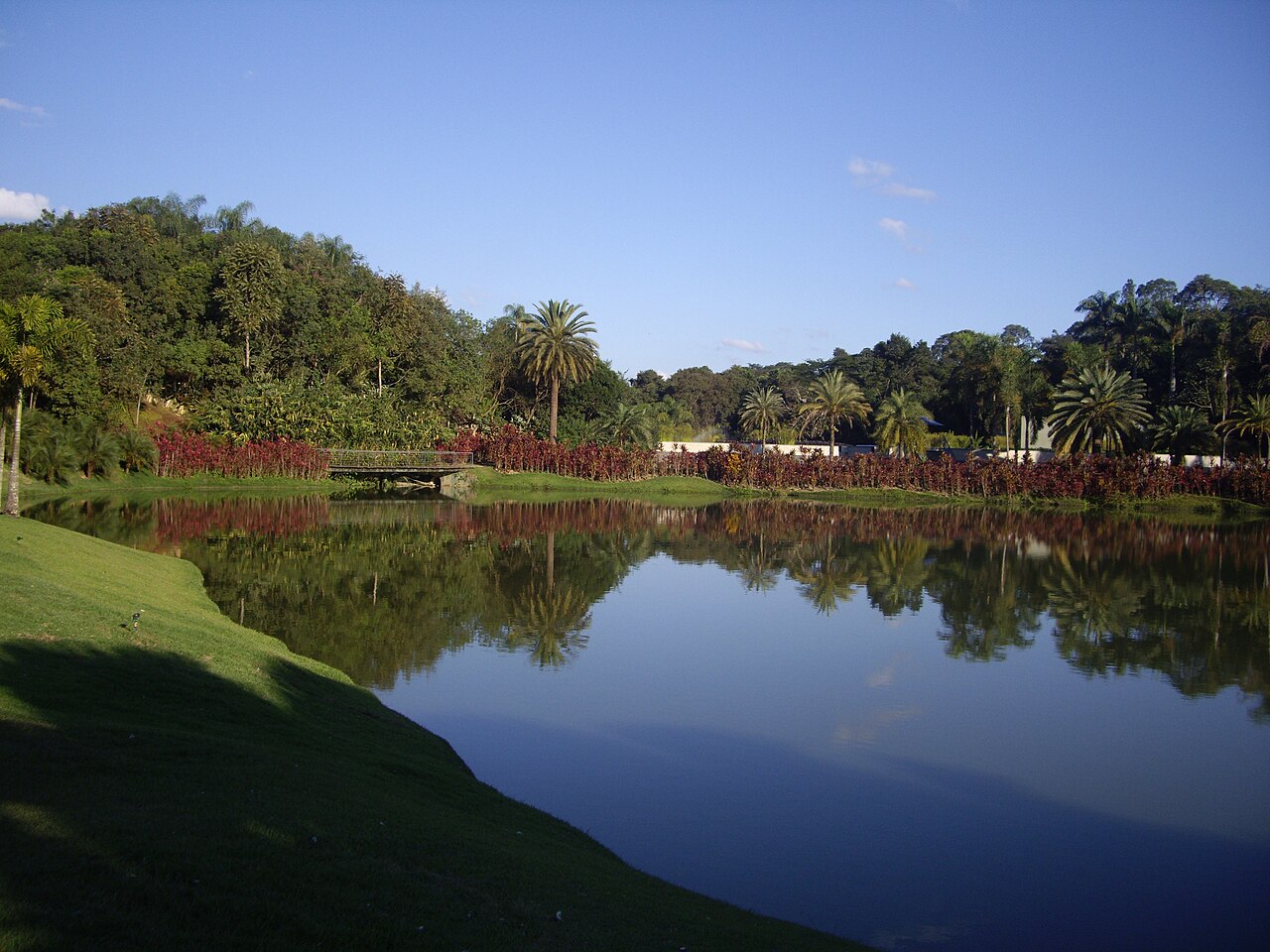 Lago rodeado de vegetación en Inhotim