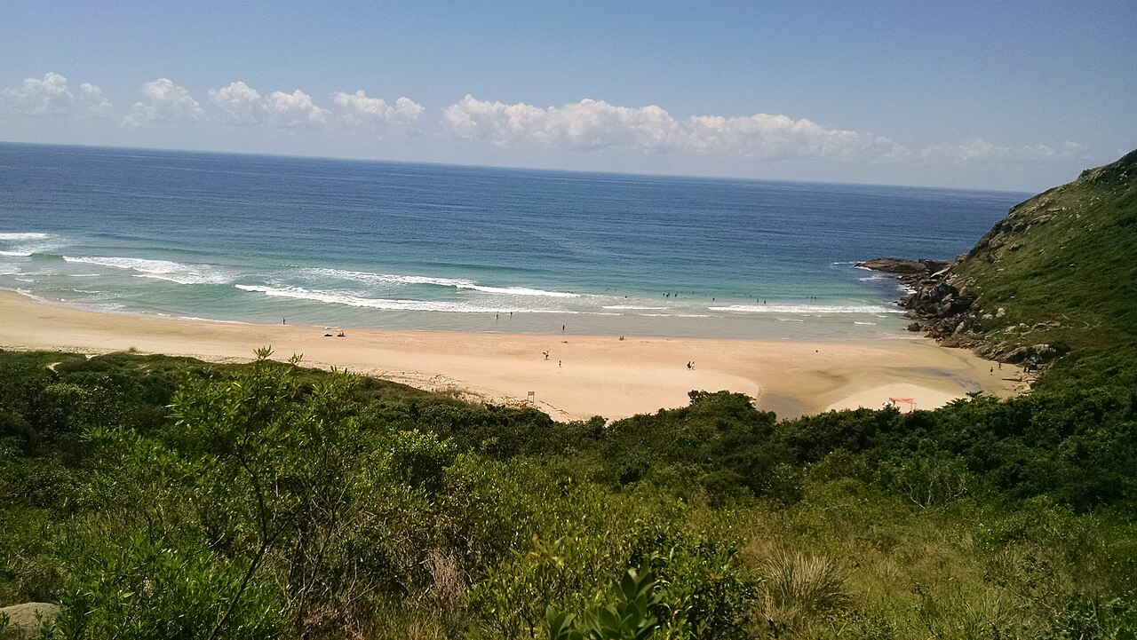 Playa de Lagoinha do Leste con olas y vegetación