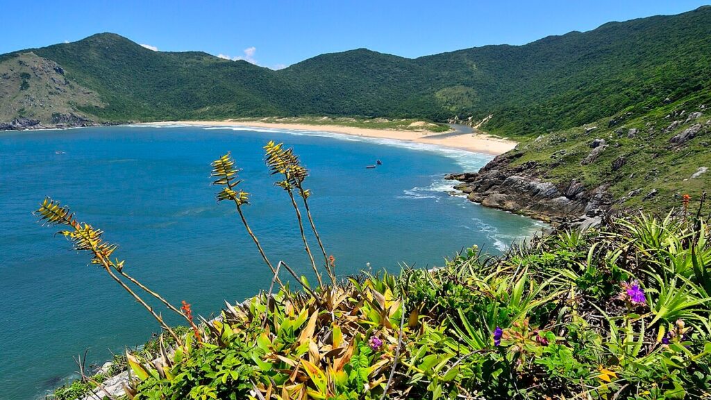 Vista desde lo alto de la playa de Lagoinha do Leste con mar turquesa y morros verdes