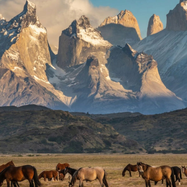 Macizo de las Torres del Paine con caballos en primer plano, Patagonia chilena