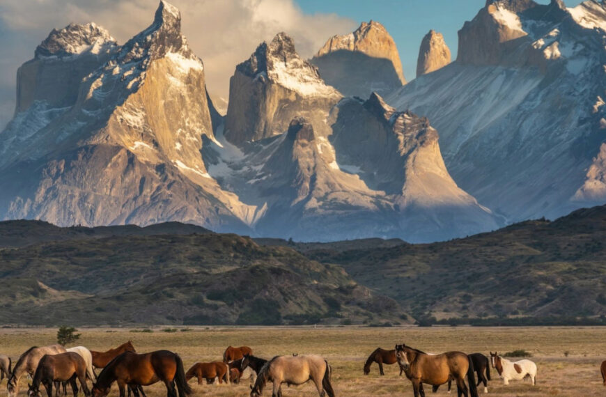 Macizo de las Torres del Paine con caballos en primer plano, Patagonia chilena