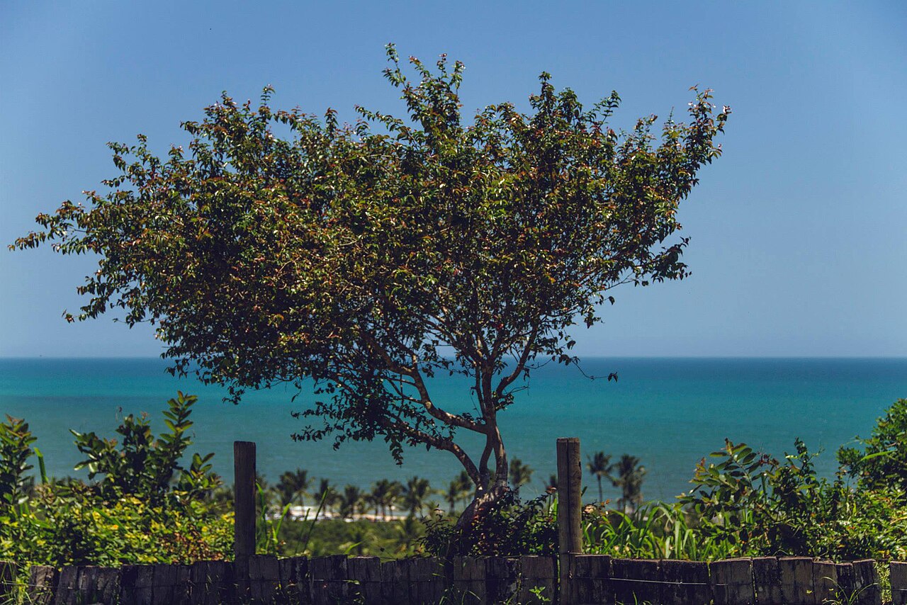 El Quadrado, escenario de la apertura gratuita del festival Música em Trancoso.