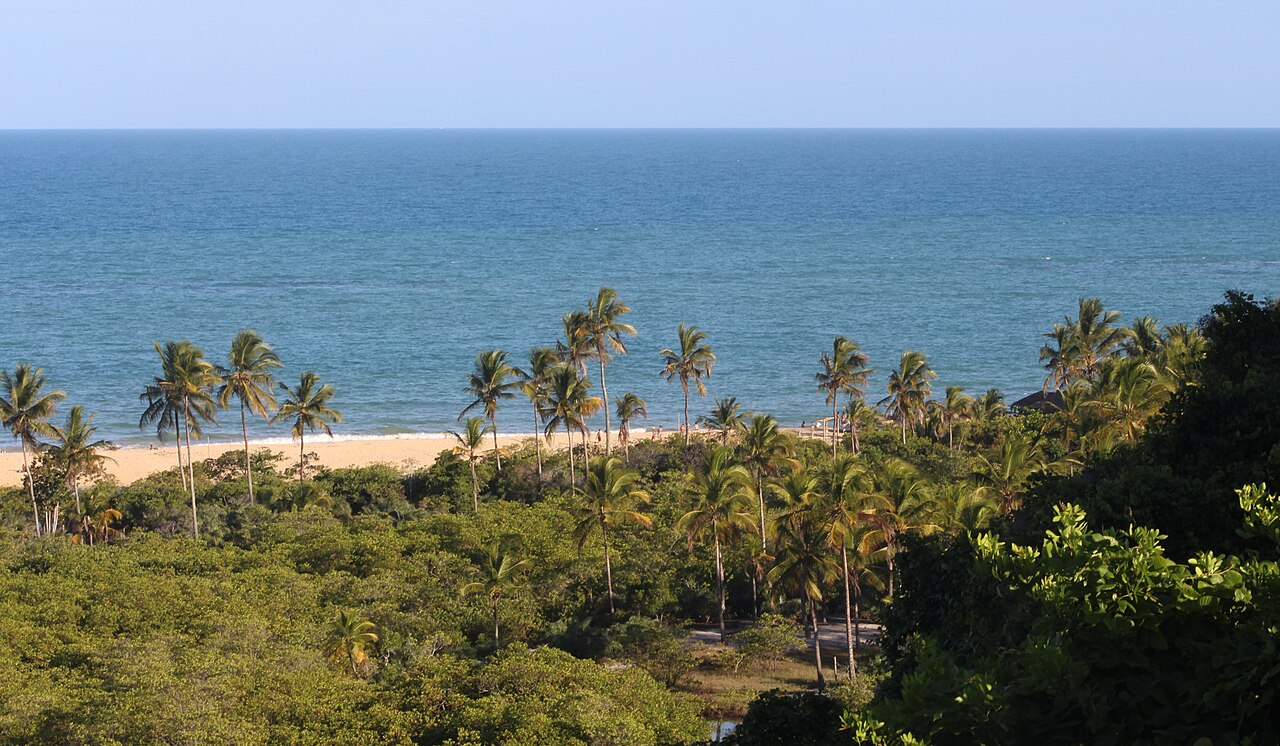 Desde el borde del Quadrado, la vista se abre sobre los cocoteros, el manglar y el Atlántico.